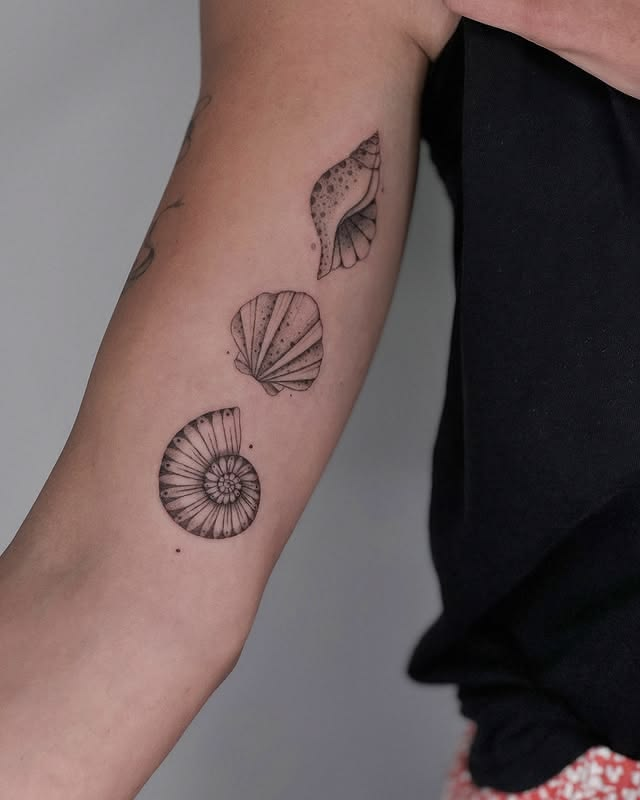 Shell small tattoo ideas.